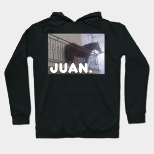 Juan Meme Horse On Balcony Hoodie